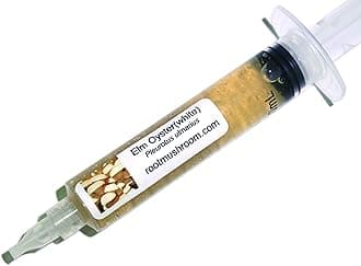 Root Mushroom Farm--Mushroom Liquid Cultures/White Elm Mushroom(Pleurotus ulmarius)