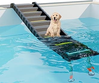 Dog Ramp for Pools
