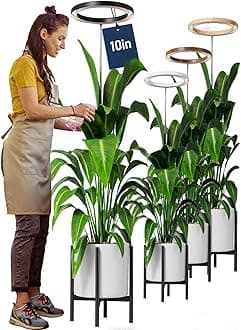 10" Grow Lights for Large Indoor Plants, Full Spectrum Indoor Plant Light for Indoor Growing with Timer,Height Adjustable Auto On/Off 3/9/12H, 9 Brightness,Led Tall Halo Grow Light for House Plants