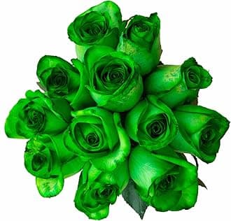 12 Stems - Fresh Cut Tinted Green Roses from Flower Explosion