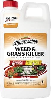 Spectracide Weed & Grass Killer Concentrate2 (HG-56201)