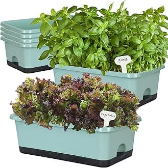 Window Box Planter 6 Pcs, 18 Inches Rectangle Flower Pots with Drainage Holes and Trays, Vegetable Planters for Windowsill Patio Garden Balcony Home Porch Yard Indoor Outdoor (Green, 18*10*6 inch)