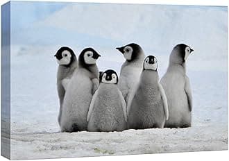 wall26 Canvas Wall Art - Little Penguins - Giclee Print Gallery Wrap Modern Home Decor Ready to Hang - 16" x 24"