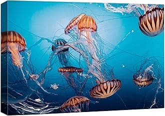 wall26 Canvas Print Wall Art Tiger Stripe Jellyfish Underwater Ocean Sea Nature Animals Photography Realism Rustic Scenic Landscape Wilderness Colorful for Living Room, Bedroom, Office - 16"x24"