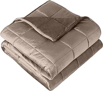 Bare Home Weighted Blanket Queen Size 17lb (60" x 80") for Adults - Minky Fleece - Premium Heavy Blanket Nontoxic Glass Beads (Taupe, 60"x80")