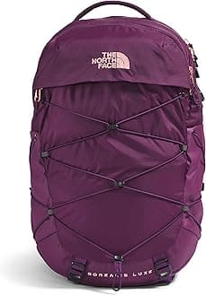 The North Face womens Women's Borealis Daypack