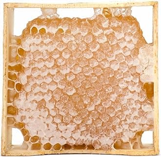 100% Natural Honeycombs Raw edible -Collected Directly from the Hive without Cutting, Filtering or Processing.- Unfiltered Wild Honeycomb - 100% Pure Turkish local Honey -Real Honey with Honeycomb - No Additives, No Preservatives (14 oz)