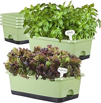 Window Box Planter 6 Pcs, 17 Inches Rectangle Flower Pots with Drainage Holes and Trays, Vegetable Planters for Windowsill Patio Garden Balcony Home Indoor Outdoor (Light Green, 18*10*6 inch)