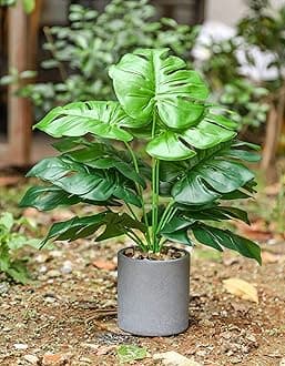 WUKOKU 2 pcs 16" Fake Plants Small Artificial Plants in Pots Faux Plants Indoor for Home Office Farmhouse Bedroom Desk Kitchen Windowsill Decor