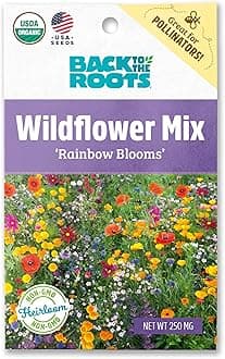 Back to The Roots 100% Organic Seed Packet - Wildflower 'Rainbow Blooms' Mix