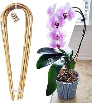 Avalution10 Pcs Natural U-Hoops Bamboo Garden Trellis, 2 Ft Bamboo Trellis U-Shape Plant Support for Climbing Plants Indoor and Outdoor Use