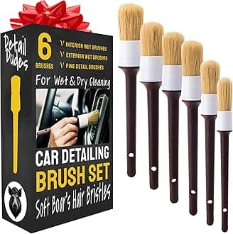 Soft Boar Hair Car Detailing Brush Set - 6-Pack - Scratch-Free Soft Bristle Cleaning Brushes - Reaches Tight Spots & Interior Car Cleaning Kit - Ergonomic & Durable Detailing Supplies