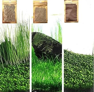 3 Aquarium Plants S.e.e.d Set, not Artifical, Fish Tank Decor Replacement for Resin or plastic Grass .(0.36oz Tiny+0.36oz Long+0.36oz Short) 42qwe, Green