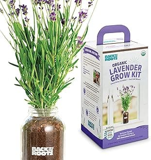 Back to the Roots Lavender Organic Windowsill Planter Kit - Grows Year Round, Includes Everything Needed for Planting