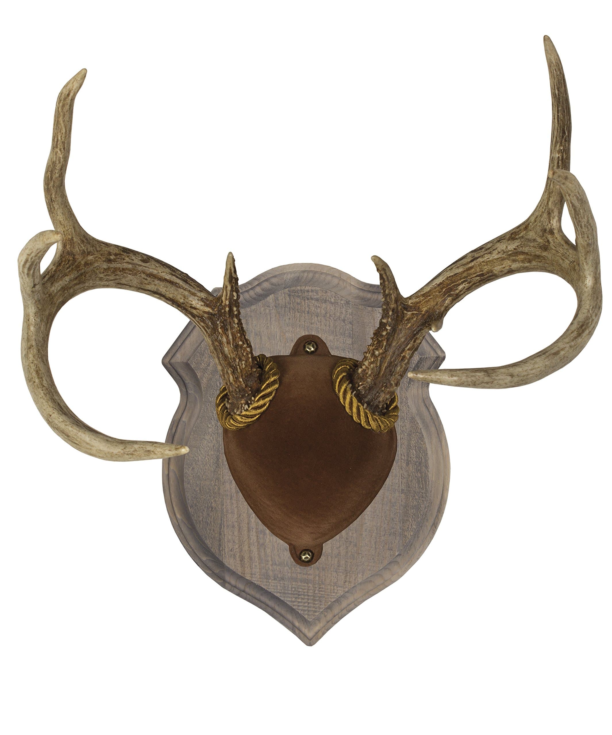 Deluxe Antler Mount Kit, Solid Wood with Rustic Barn Board Look