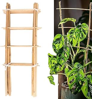 Avalution 10 Pack Natural Bamboo Trellis for Climbing Plants 16" Outdoor Garden Ladder Trellis, Fan -Shaped Plant Support Trellis for Potted Plant
