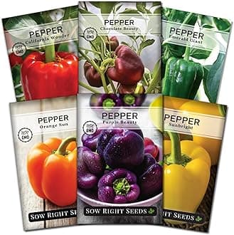 Sow Right Seeds - Sweet Bell Pepper Seed Collection for Planting a Home Garden - Cal Wonder, Emerald Giant, Orange Sun, Purple Beauty, Sunbright, Chocolate Beauty - Non-GMO Heirloom Variety Pack