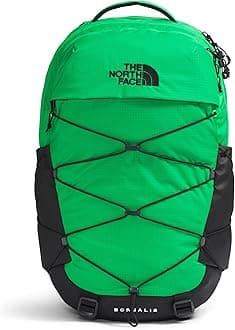 The North Face womens Women's Borealis Daypack
