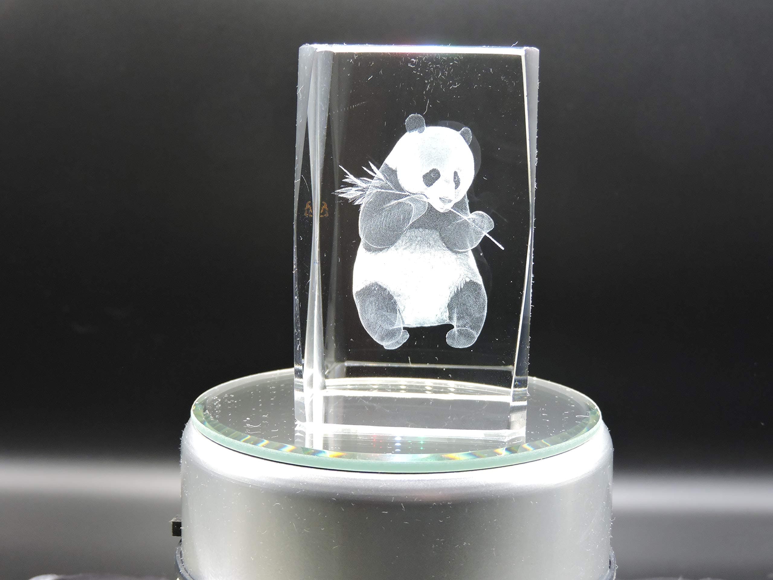 3D Glass Laser Cube Panda Bear