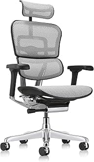 Ergohuman Eurotech ME7ERG GEN2 High Back Mesh Office Chair with Tilt Tension Control, Tilt Lock, Back Angle, Back Height, Synchro Tilt, Seat Height, Seat Depth, and Arm Height Adjustments, Grey