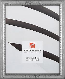 Craig Frames 314SI, Ornate Silver Picture Frame, 20 x 30 Inch