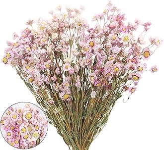 Dried Daisy Flowers Bouquet Dried Flowers Pink with Stems Real Chrysanthemum Gerber Daisies Arrangements for Wedding Farmhouse Vase Decorations DIY Home Party Wildflower Decor