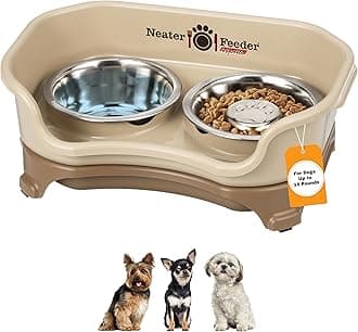Express Mess Proof Dog Bowls Elevated for Small Breeds Under 15 Lb, Made in USA, No Spill Raised Dog Food Bowl Stand, Stainless Steel Slow Feed and Standard Water Bowl Set, Cappuccino