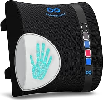 Everlasting Comfort Lumbar Support Cushion - Ergonomic Memory Foam Back Rest Cushion with Dual Adjustable Straps and Breathable Mesh Cover - Chair Pillow for Office Chair, Car Seat