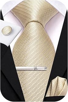 Hi-Tie Silk Ties for Men Pink Blue Black Mens Ties Set 4 PCS Necktie Pocket Square Cufflinks Clip Pin for Wedding