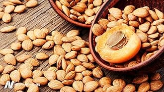 A D Food & Herbs Bitter Apricot Kernels Raw Unprocessed Fresh and Natural (50 GMS x Pack of 3)