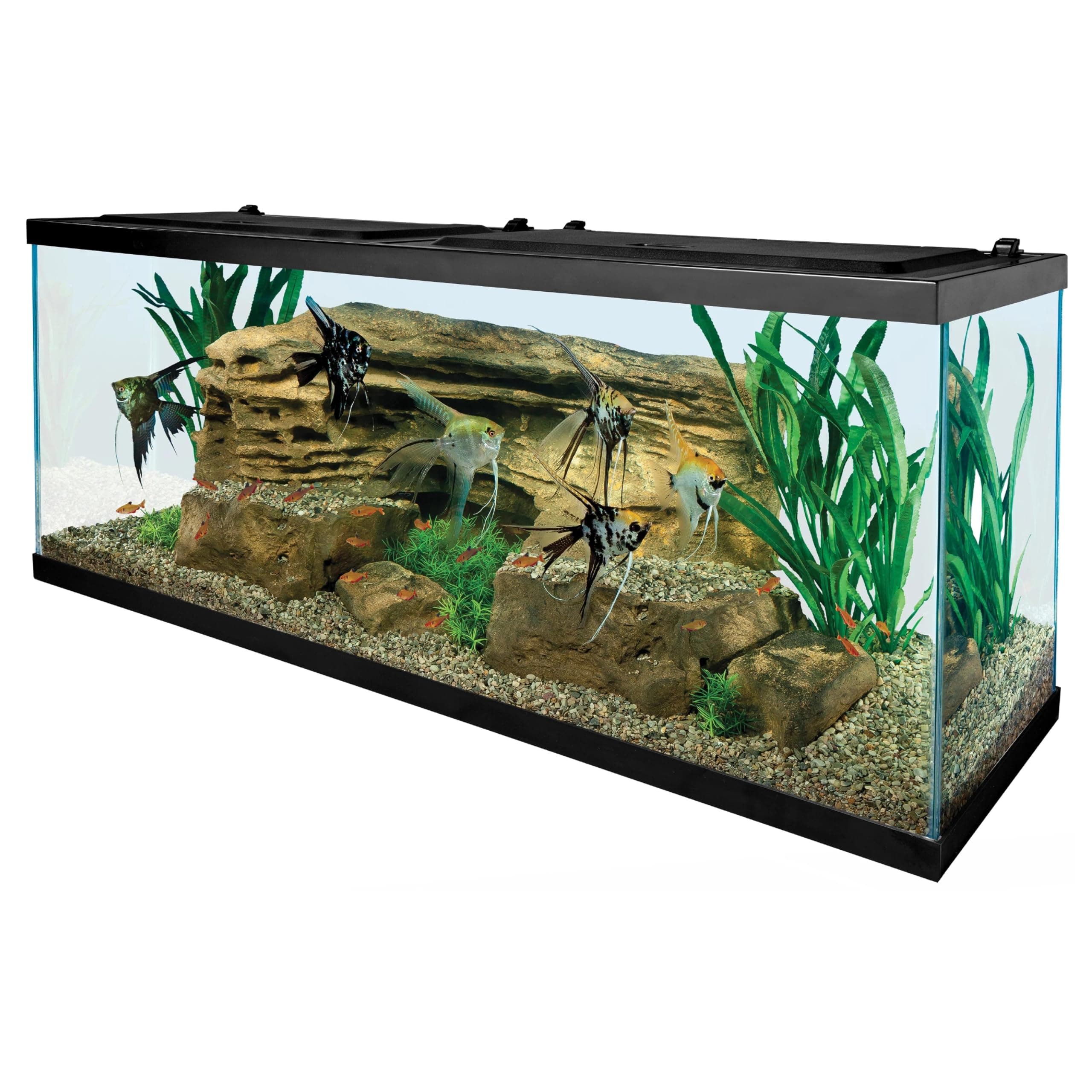 Tetra Complete LED Aquarium Kit for Fish, 55 Gallons, Includes White LED Lights, Filter, Heater and Accessories