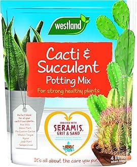 Cacti & Succulent Potting Mix