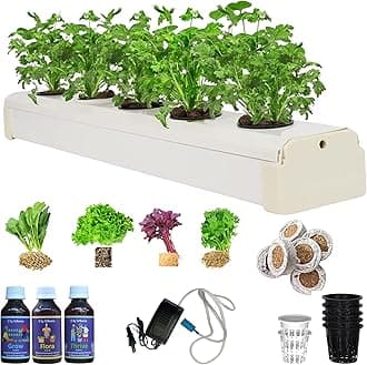 Hydroponic Kit for Home – 5-Plants DWC (Deep Water Culture) System for Beginners | Grow Any Indian or Exoctics Leafy Greens & Herbs Like Spinach, Coriander, Lettuce