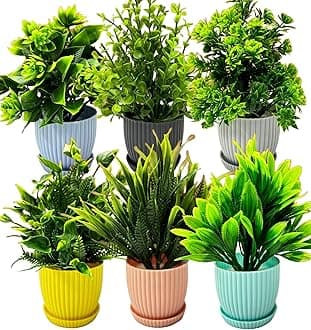 Plastic 6 Packs Fake Plants Small, Mini Artificial Plants Indoor For Home Farmhouse Bathroom Shelf Décor (Multi, Height : 17Cm)