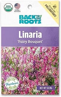 Back to The Roots 100% Organic Seed Packet - Linaria 'Fairy Bouquet' 50mg