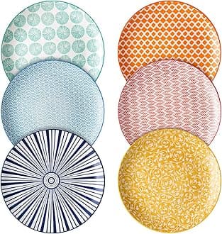 10 inch Porcelain Dinner Plates, Large Size Serving Plate for Salad, Pancakes, Steak, Set of 6, Assorted Colors