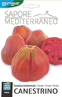 CANESTRINO UNDETERMINATE TOMATO The best of seed for the best producers - No GMO - Very High Germinability Seed (0.5 grams)