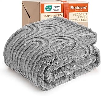 Bedsure GentleSoft Twin Blanket for Bed - Cozy Soft Blankets for Women, Cute Small Fleece Throws for Girls, Graduation Decorations Gift for Her Him School Dorm, Light Grey, 60x80 Inches