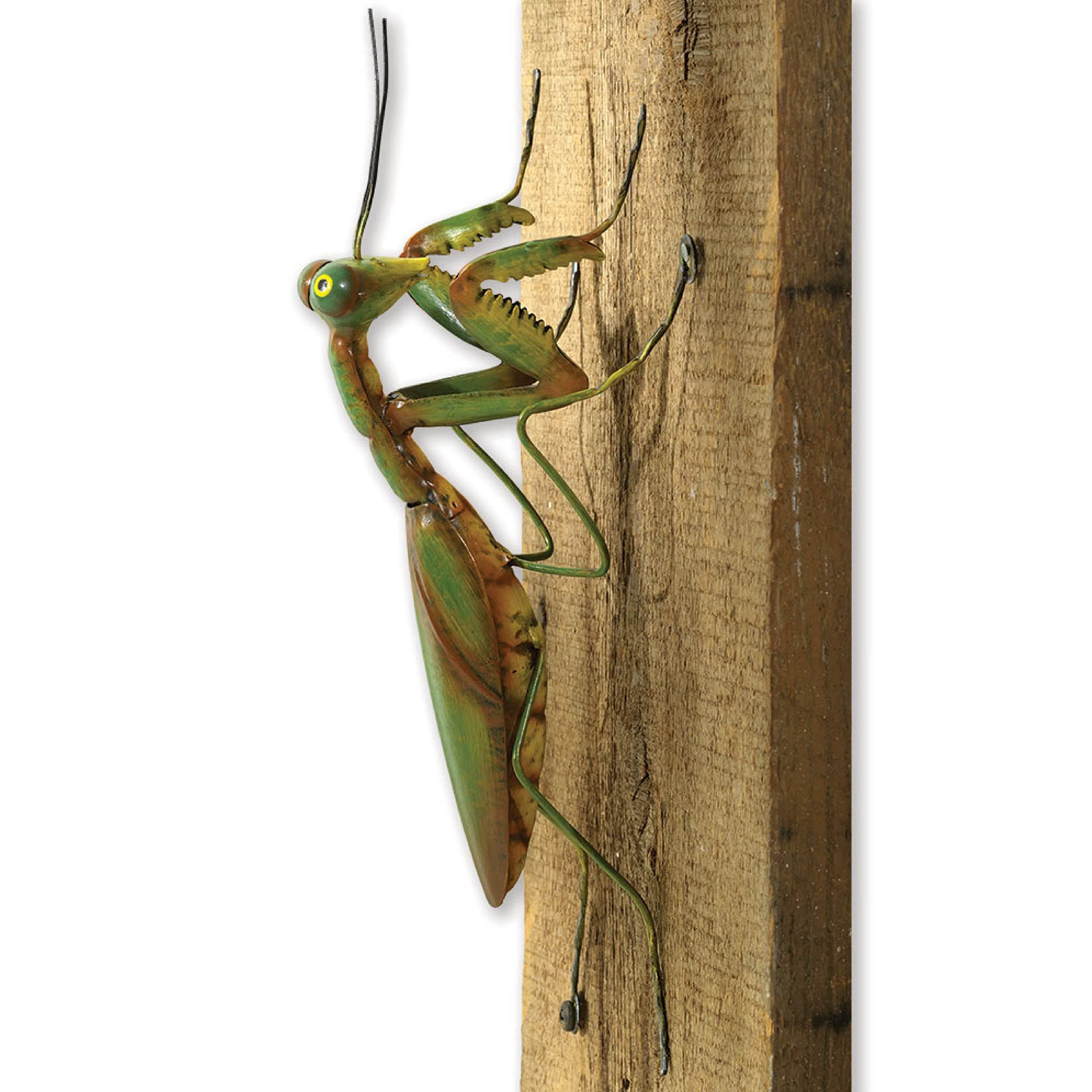 Bits and Pieces - Praying Mantis Tree Hanger - Whimsical Yard Decoration - Realistic Tree Sculpture - Weather-Resistant Garden Peeker Hugger for Outdoor and Landscape Décor - 12" x 5" x 3½"
