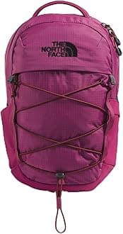 The North Face unisex-adult Borealis Mini Backpack Daypack