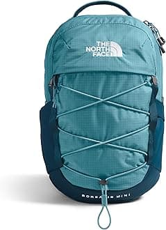 The North Face unisex-adult Borealis Mini Backpack Daypack