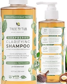 Peppermint Shampoo for Oily Hair & Sensitive Scalp - Gentle Clarifying Shampoo for Build Up, Sulfate Free Anti Residue Hair Shampoo for Women & Men w/Organic Argan Oil, Natural Aloe Vera