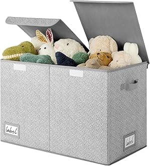 Extra Large Closet Storage Container