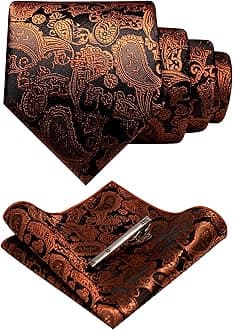 JEMYGINS Mens Solid Color Paisley Necktie and Pocket Square with Tie Clip Sets
