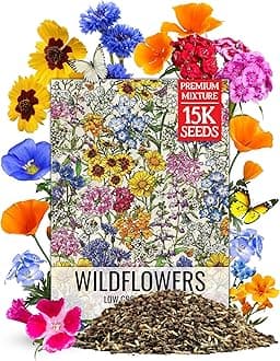 Seed Needs Low Growing Wildflower Flower Seeds for Planting | 1 Ounce Mixture/Blend 17 Varieties | Resealable Package Multicolored Blooms Open Pollinated Mixed Species | Bulk