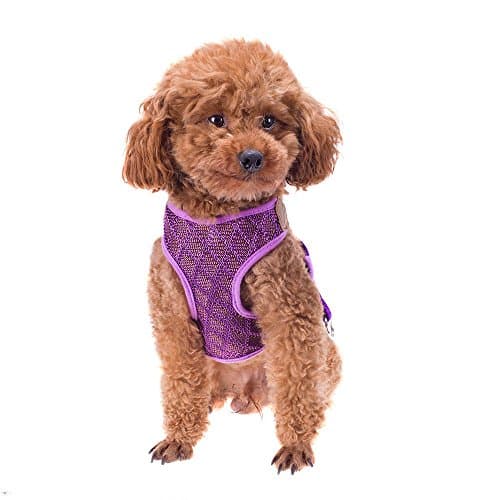 Petperi No-Pull Mesh Dog Harness and Leash Set,Summer Cool Dog Clothes,Adjustable and Breathable Dog Training Walking Harness Leash Collar for Large/Medium/Small Dog (M(4.5-10lb), Purple)