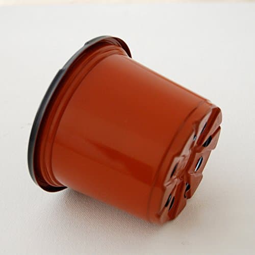 Terra Cotta 4" x 3" Plastic Thermo Mold Pots - Pack of 25