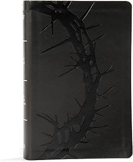 KJV Large Print Personal Size Reference Bible, Charcoal Leathertouch Indexed